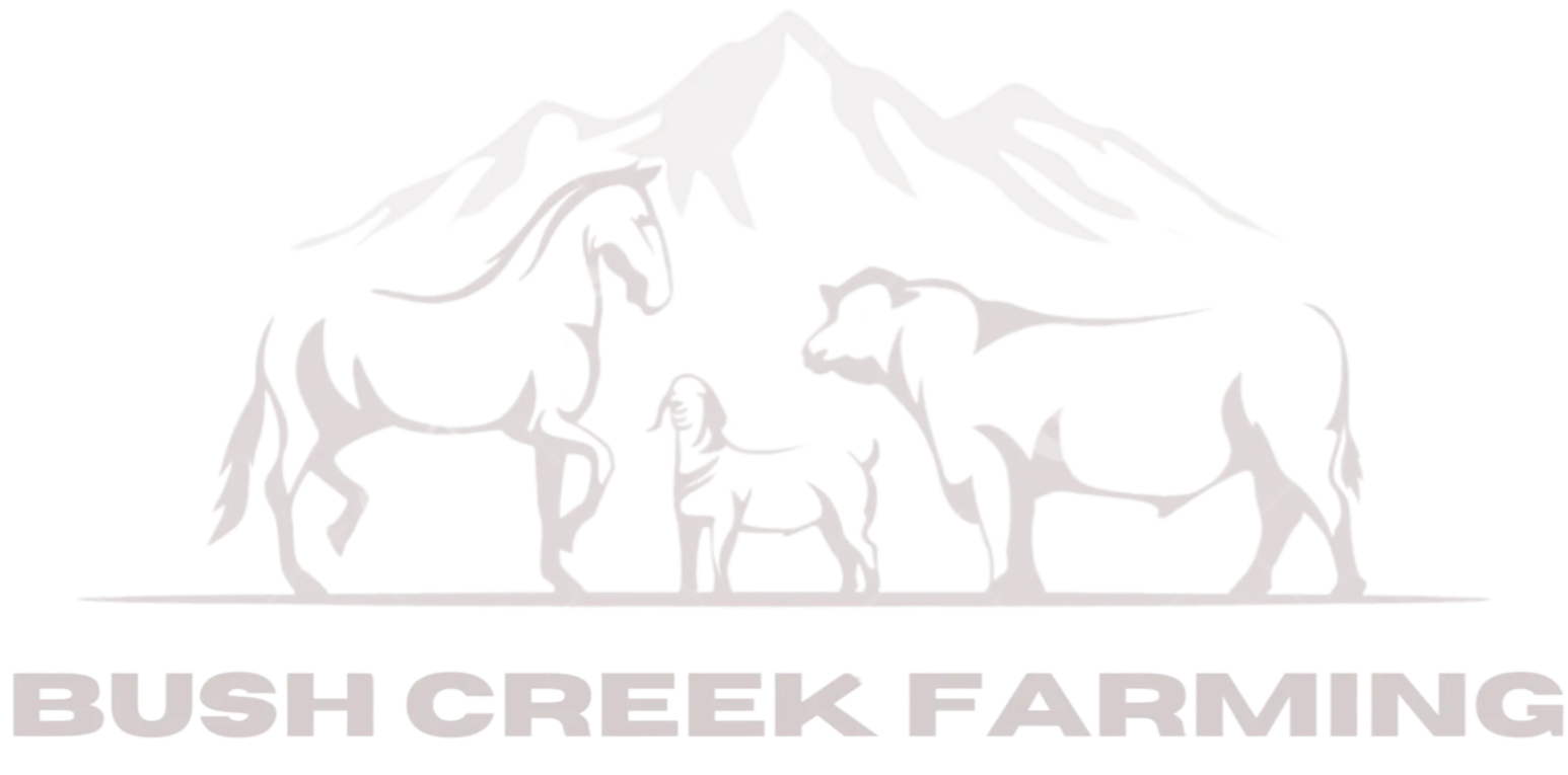 Bush Creek Guest House Logo